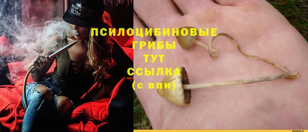 ПСИЛОЦИБИНОВЫЕ ГРИБЫ Наволоки