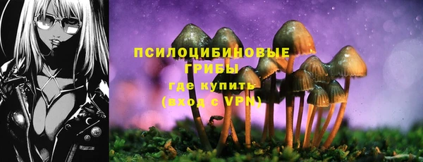 герыч Нея